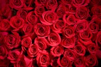 Фото: iStockphoto.com
