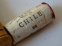 Чилийское вино: победа цены и качества (71)