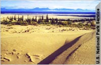 Песчаные дюны Кобук на Аляске