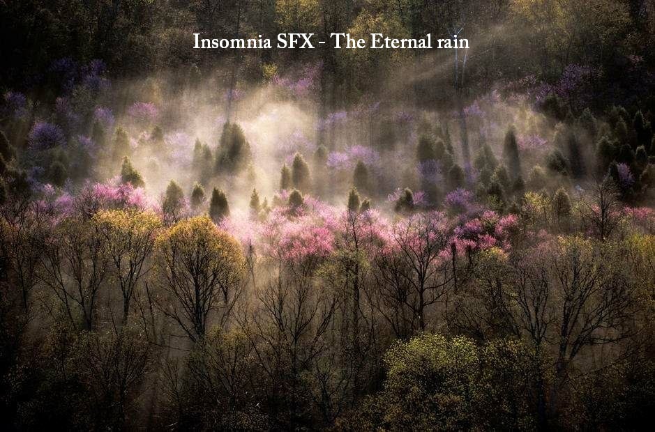 Insomnia SFX — The Eternal rain (10)