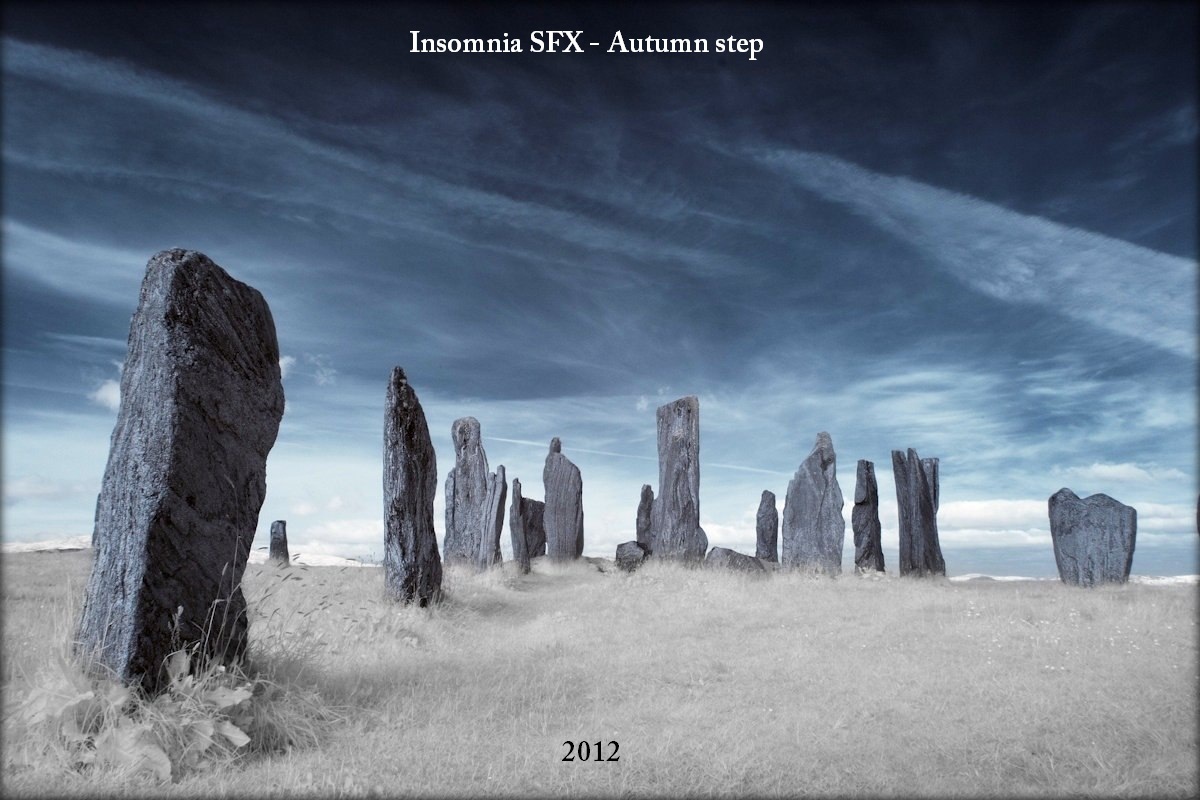 Insomnia SFX — Autumn step (14)
