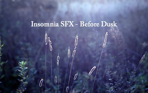 Insomnia SFX — Before Dusk (15)
