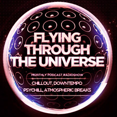 A.e.r.o. - Flying Through The Universe