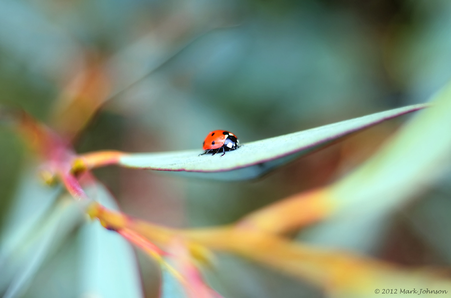 Глава 10 "Никогда не будь против" (10)