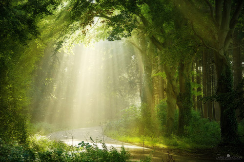 Глава 11 "Но реально ли это?" (11)