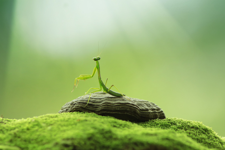 Глава 19 "Давайте притворимся, что..." (19)