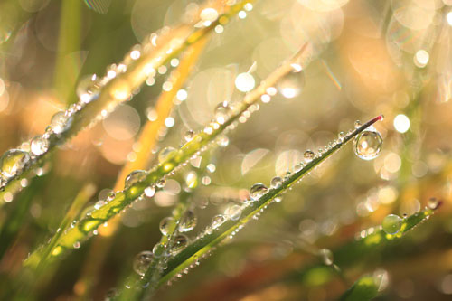 Глава 3 "Во что ты веришь?" (3)