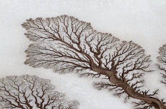 Глава 4 "Страх перед желанием, желание страха" (4)