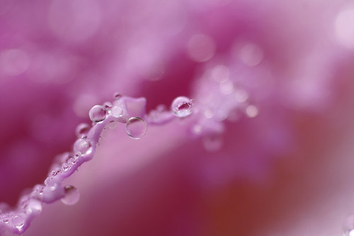 Глава 7 "Чувства? Да!" (7)