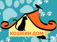 Собачья одежда