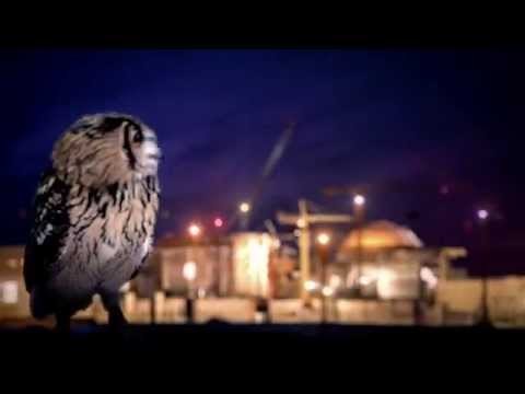 Интеллектуальная добыча