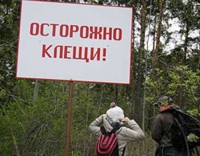 Клещи стали кусаться реже.