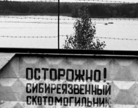 Недействующие скотомогильники хотят ликвидировать.