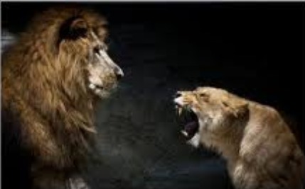 Выработайте здоровый пофигизм! (Выпуск 19) Выработайте здоровый пофигизм! (Выпуск 19)