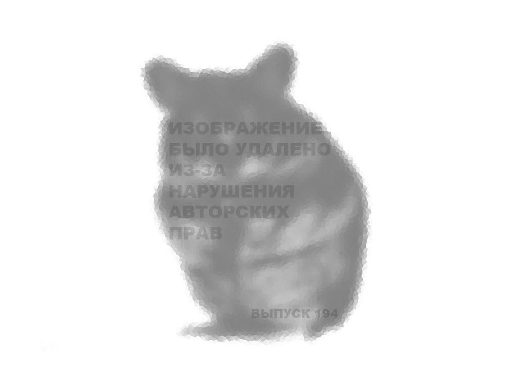 HamsterFunkRadio (194)