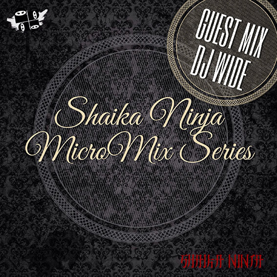 010. SKNJ presents Dj Wide — 4Chikaginsk (MicroMix Series #10)