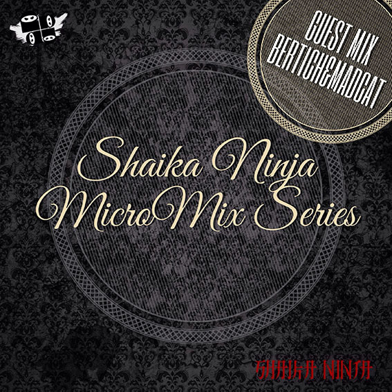 011. SKNJ presents Bertich&MadCat — Feel It (MicroMix Series #11)