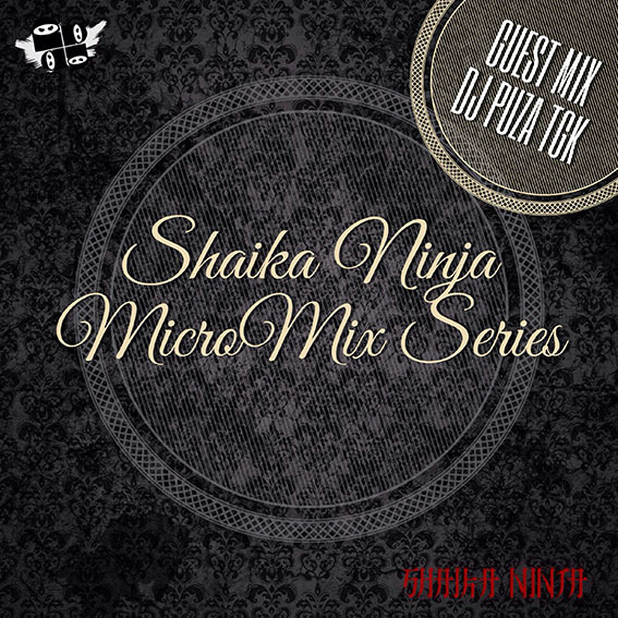 009. SKNJ Presents DjPuzaTGK — Home Work (MicroMix Series #9)