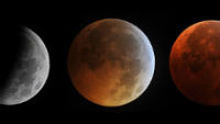 REUTERS