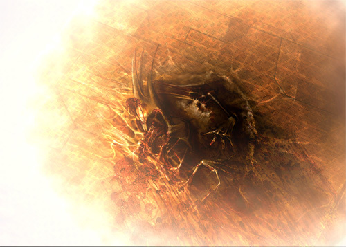 EVE Online Lore — Методы дознания Империя Амарр (16)