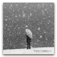 Snow Umbrella