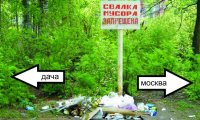 москвичи загрязнают все!