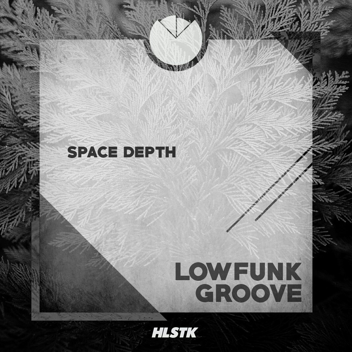 Lowfunk Groove #009 (009)