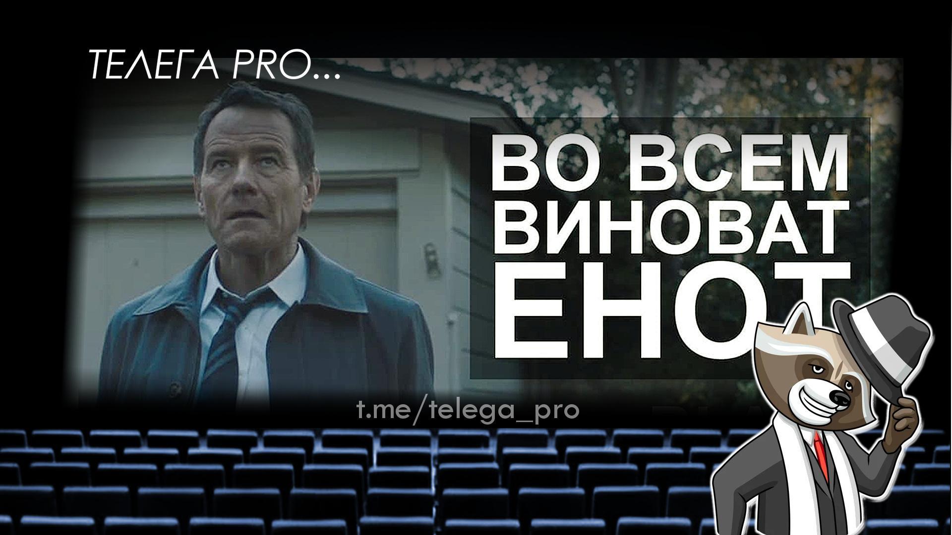 Телега PRO... Во всем виноват енот - Быстрый обзор фильма (мнение о фильме) (83)