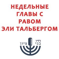 Часть 8. Открытый Бейт Мидраш (21.09.2025) по недельной главе Ницавим на темы: 1. Не на небесах она… 2. Суд в Рош аШана 5786 года. (688)