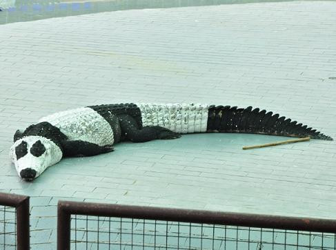 Пандазвон (некст ))